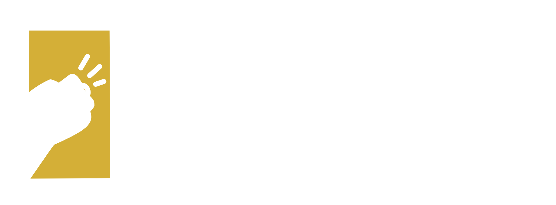 DSW Consulting Logo